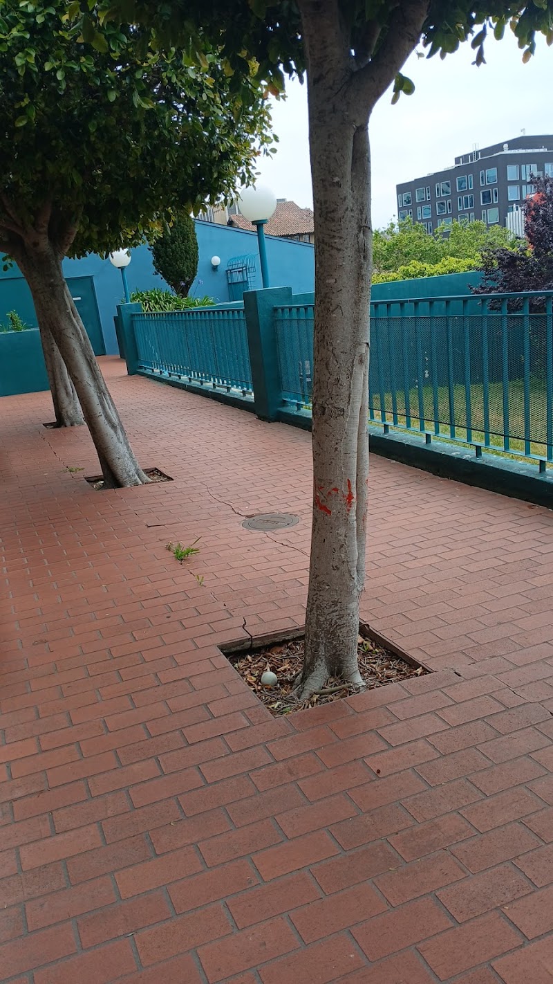 Mares & Dow Construction & Skylights Inc. - General Contractor in San Francisco