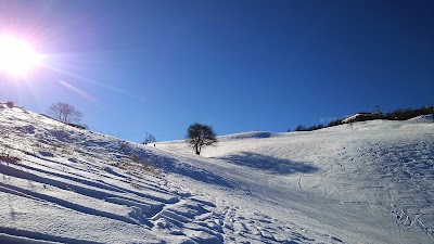 Shirakabako Royal Hill Ski Area - 4