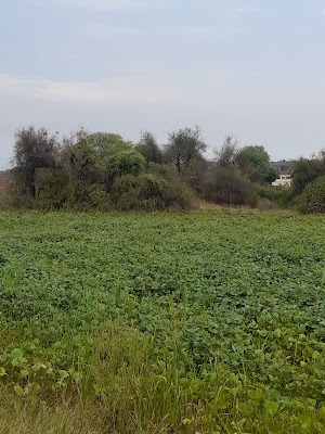 Bara Gowah Rural Welfare Society