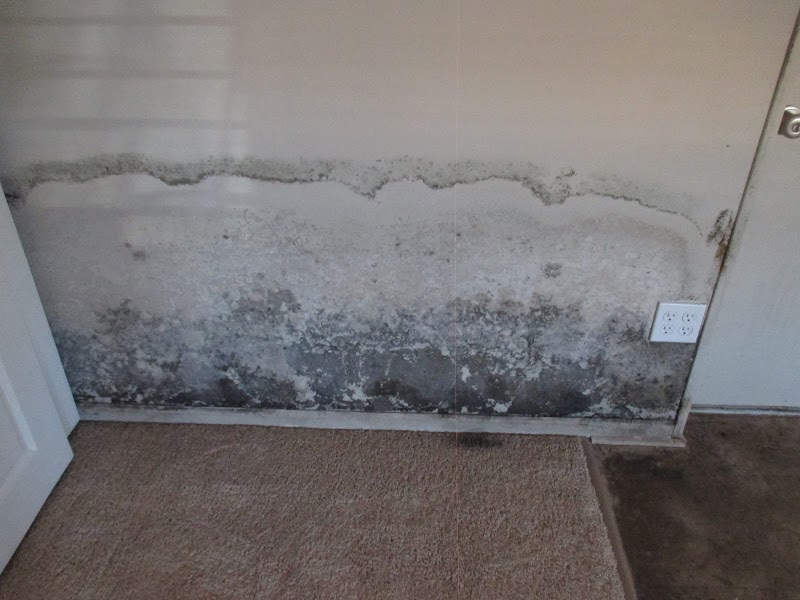 BRIAN GERIKE radon testing