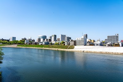 Okayama Korakuen Garden - 6