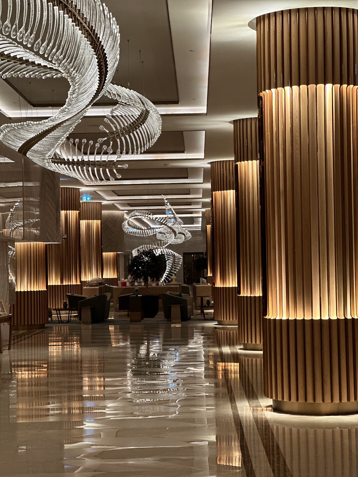 J Wellness Circle at Taj Exotica Resort & Spa, The Palm, Dubai 3