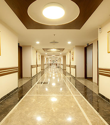 Gallery 5