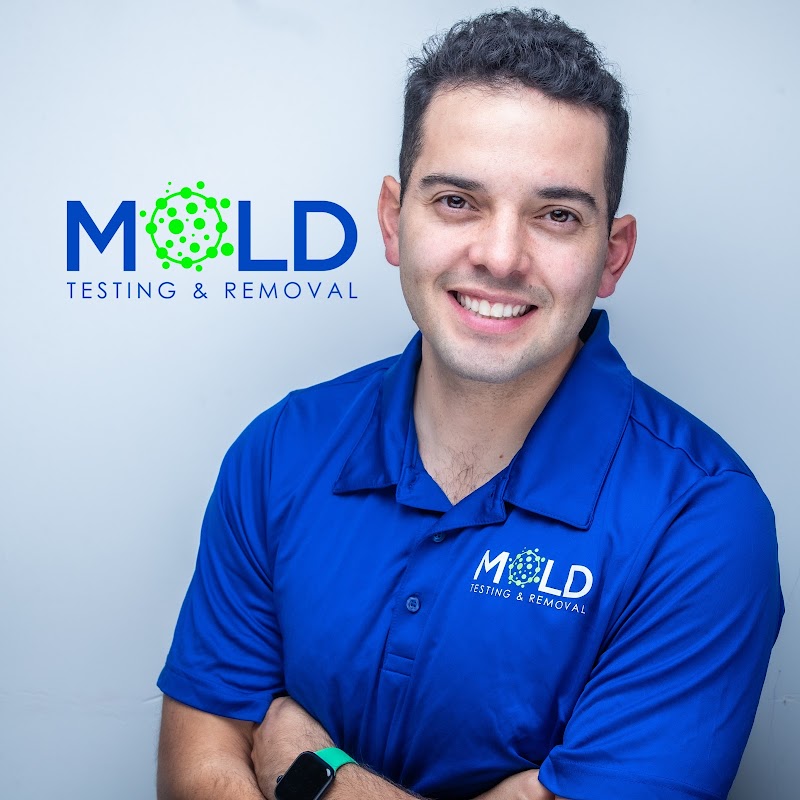 Mold Testing & Mold Removal Services Dallas — photo