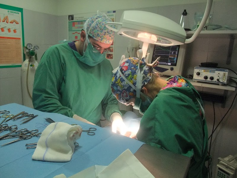 Centro Veterinario A Caeira photo 3