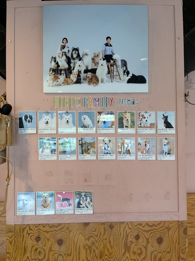 카페히릿 (2026년 5월 이전 예정) 사진 2