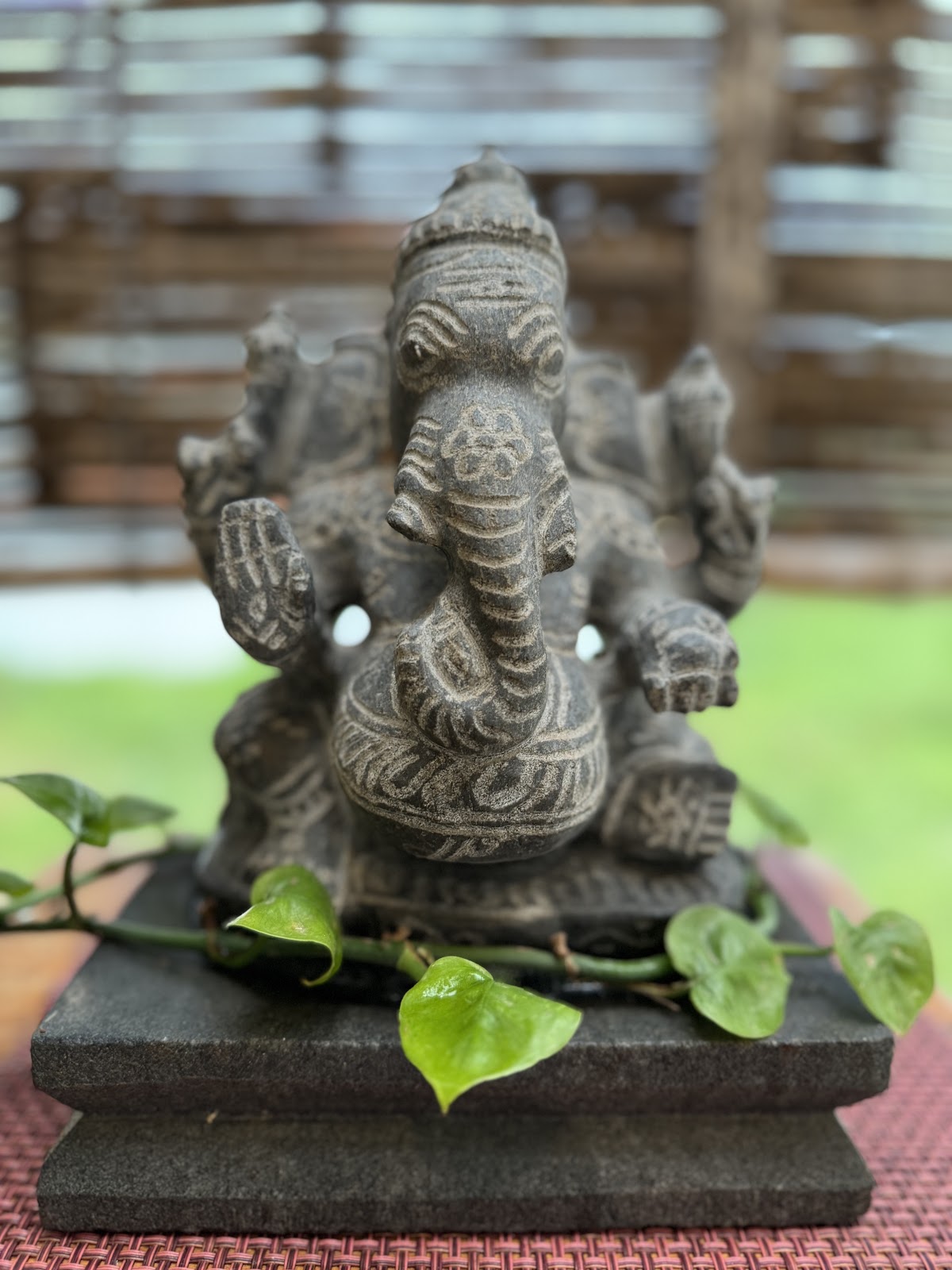 Svasottama Holistic Living