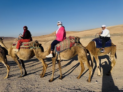 Art De Cuivre Travel