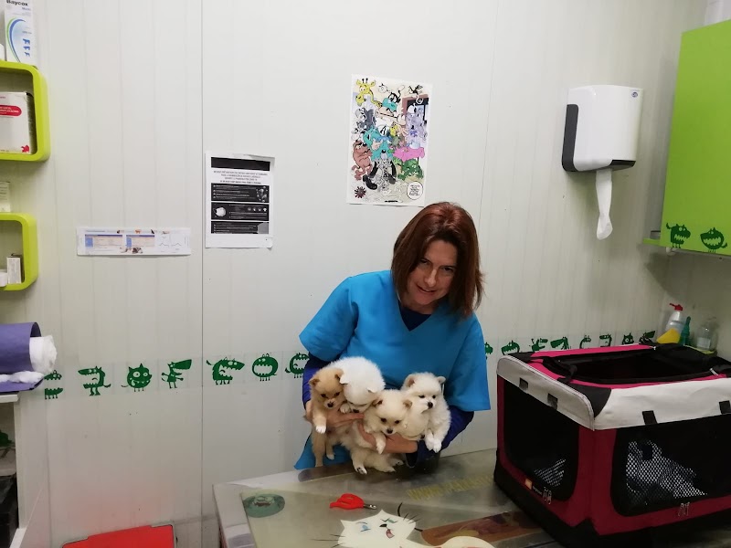 Centre Veterinari Sant Pere