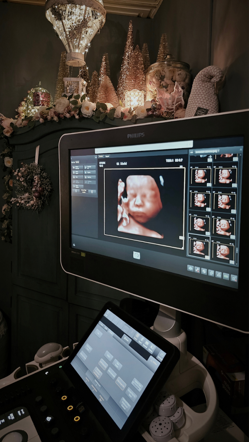 Stork 4D Imaging Studio