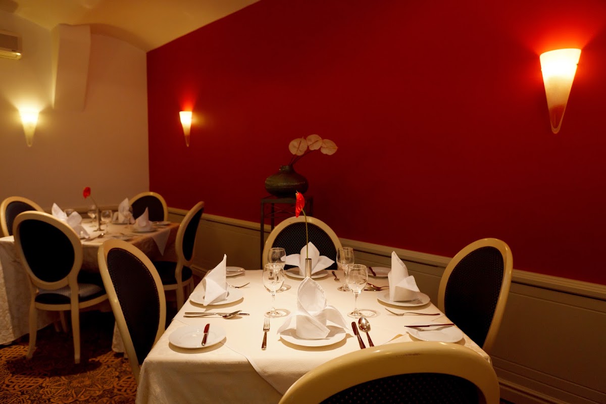 Monika Centrum Hotels, dog-friendly hotel, photo 5