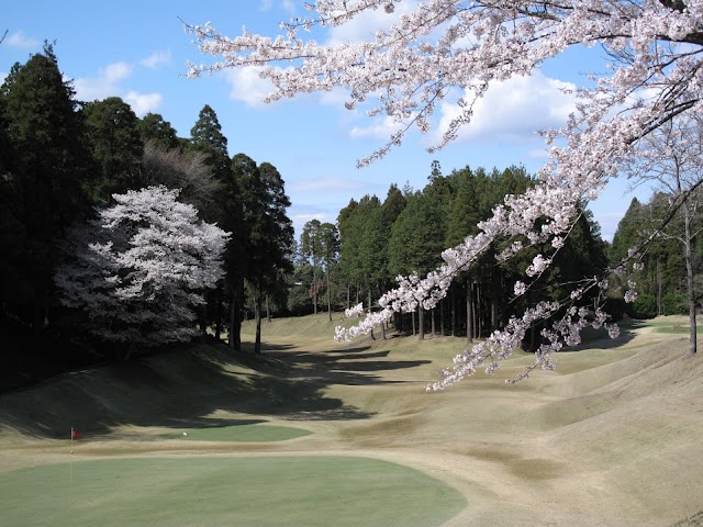 Dynamic Golf Narita (Short) - Photo 1