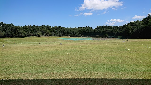 Dynamic Golf Narita (Short) - Photo 4
