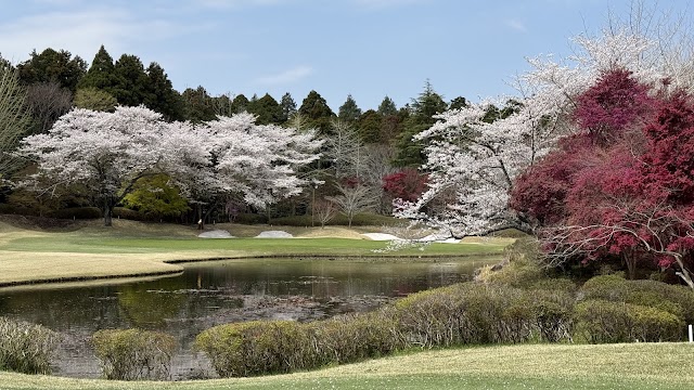 Dynamic Golf Narita (Short) - Photo 9