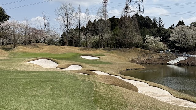 Dynamic Golf Narita (Short) - Photo 6