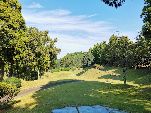 Dynamic Golf Narita (Short) - Photo 3
