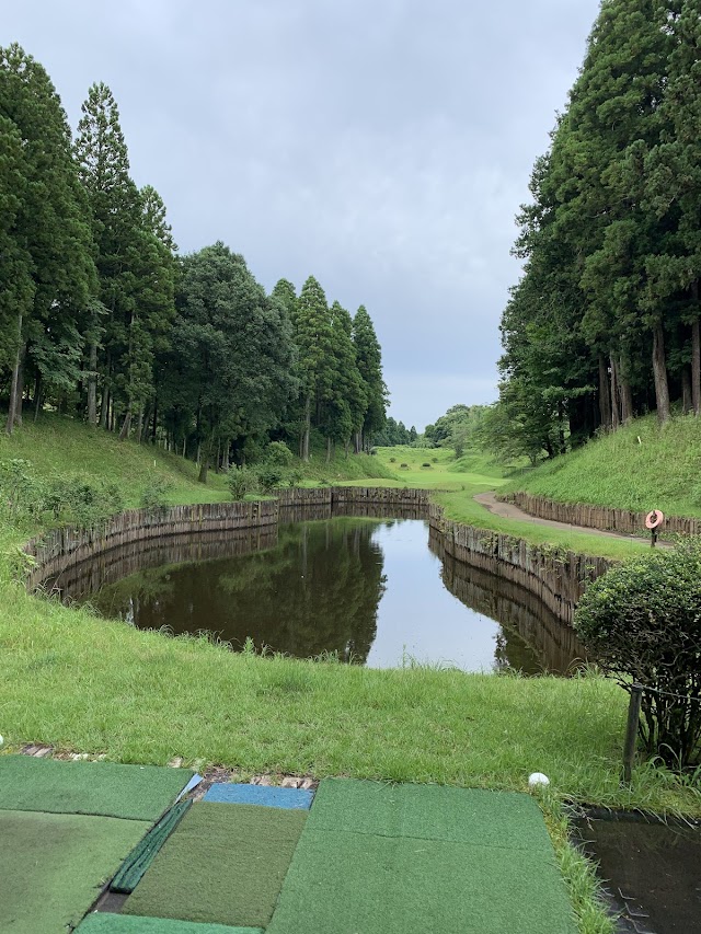 Dynamic Golf Narita (Short) - Photo 5