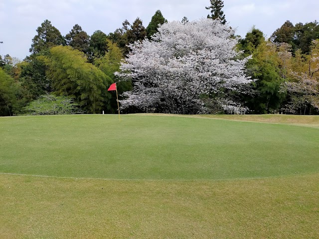 Dynamic Golf Narita - Photo 7