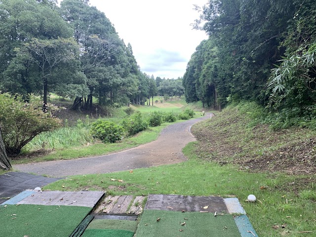 Dynamic Golf Narita (Short) - Photo 8
