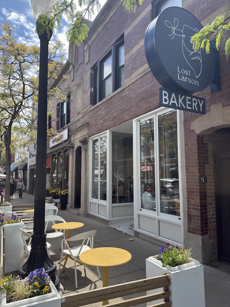 Lost Larson (Andersonville) photo 1