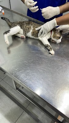 عيادة وتين البيطرية