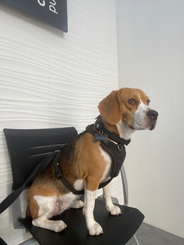 Centro Veterinario Puerta de Purchena