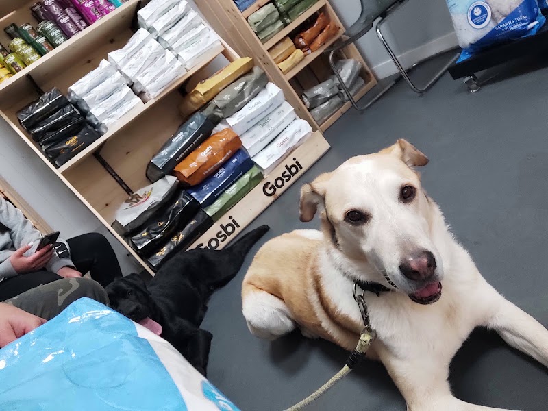 Tartanga Castro Urdiales Clinica Veterinaria