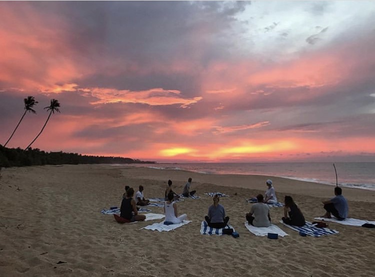 Sen Wellness Sanctuary — 4
