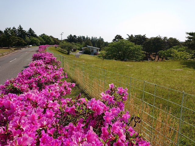 Kashima Country Club - Photo 4