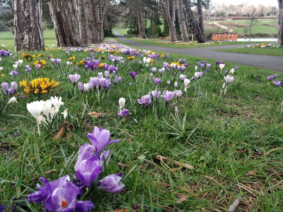 Cabinteely Park fotoğraf 1