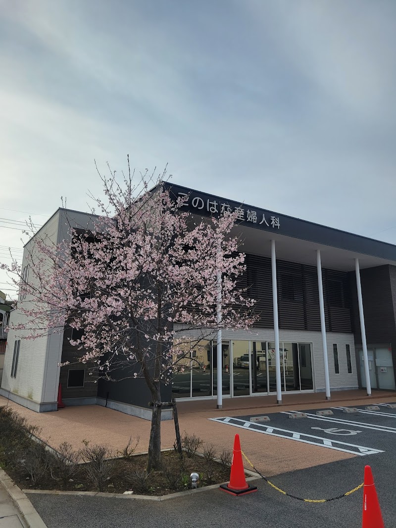 中澤ウィメンズライフクリニックの外観