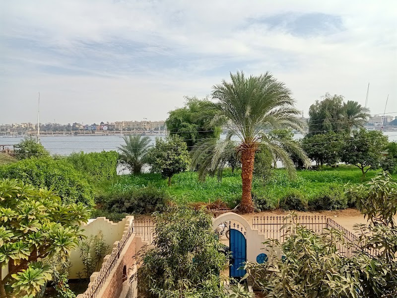 Sunny Luxor photo 3