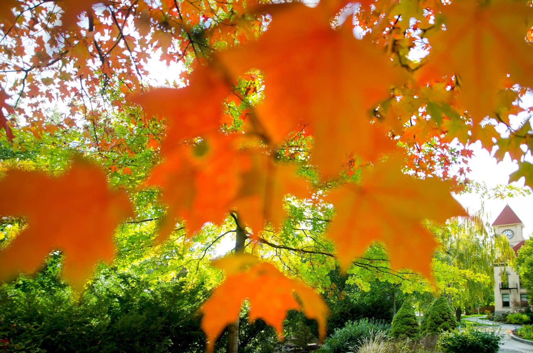 ウィットマンカレッジ（Whitman College）（Walla Walla、ワシントン州）
