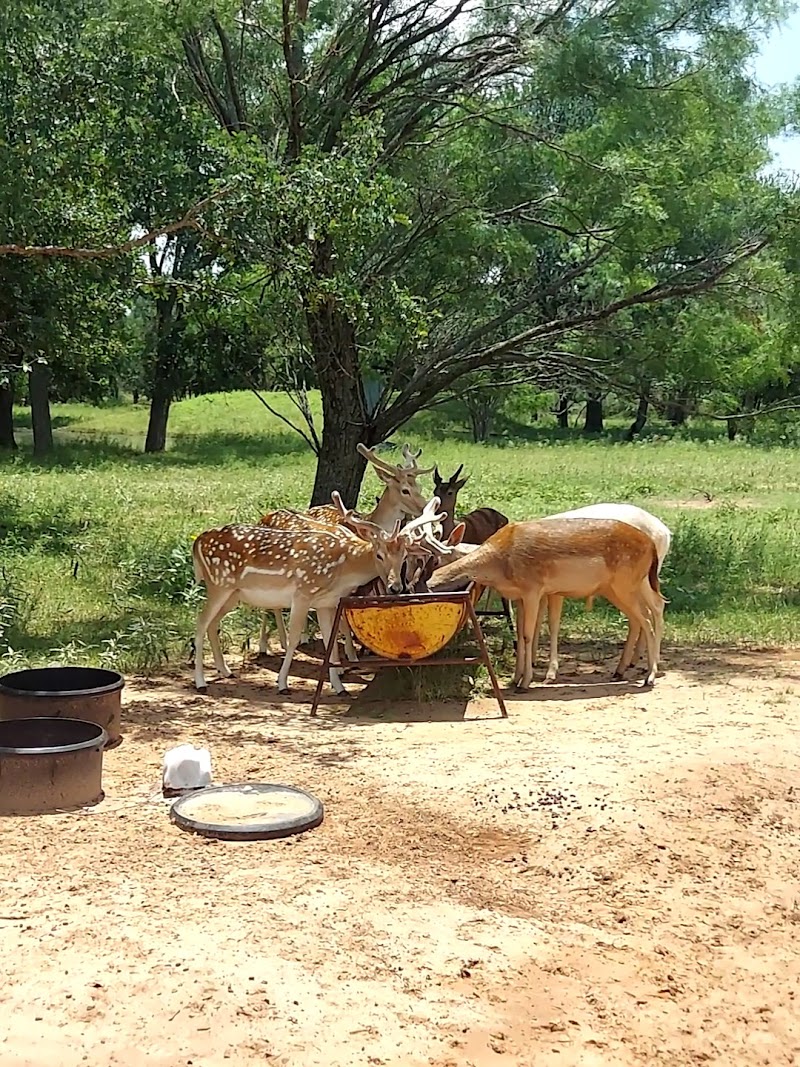 Red Bluff Guest Ranch - Photo 5