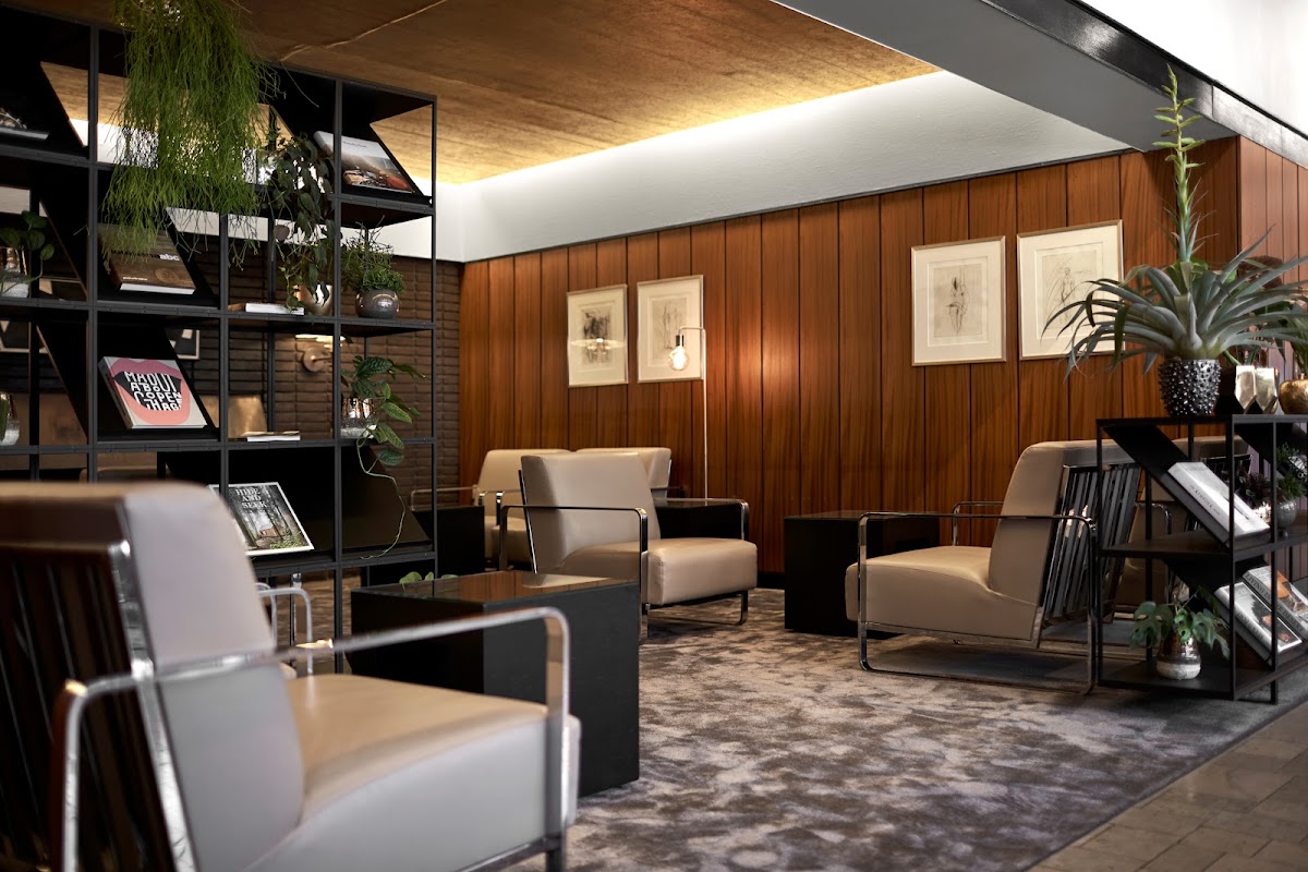 Imperial Hotel Copenhagen, dog-friendly hotel, photo 5