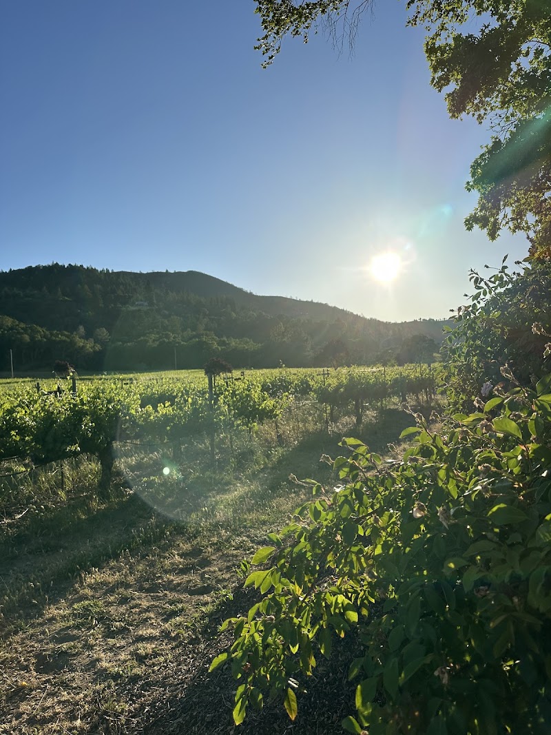 Kenneth Carl Estate Winery & Farmstay