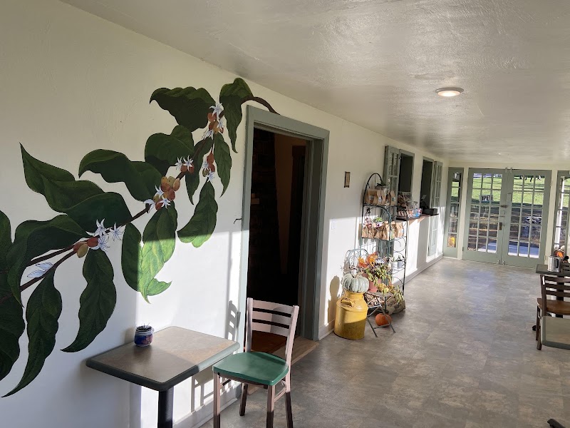 The Greenhouse Café photo 1