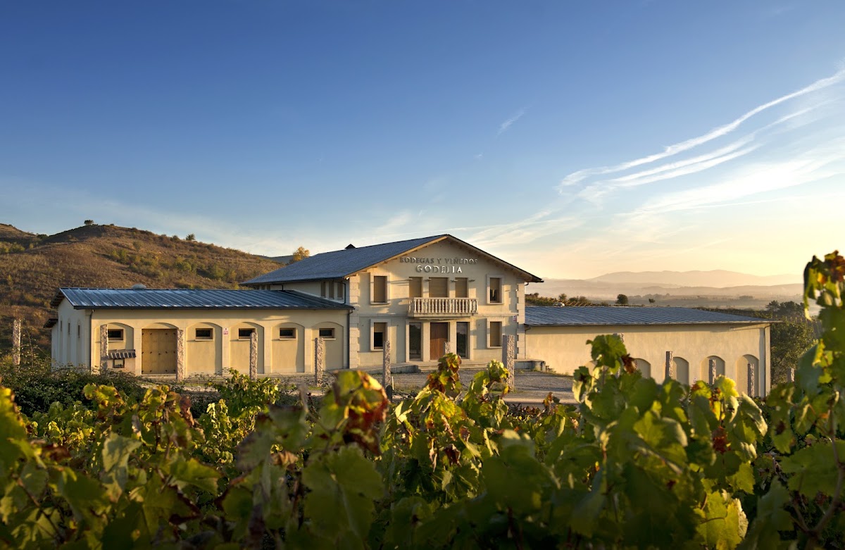 Bodegas y viñedos Godelia S.L.