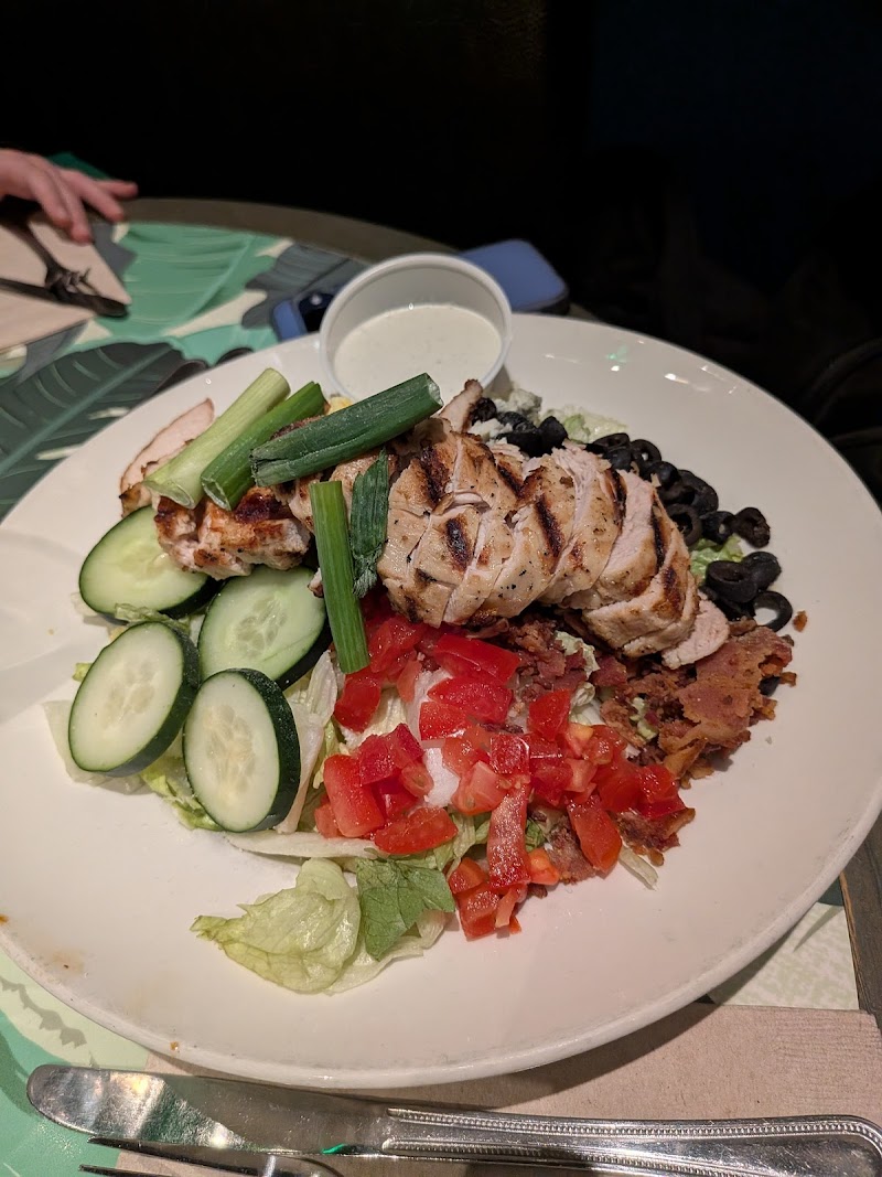 Rainforest Cafe photo 4