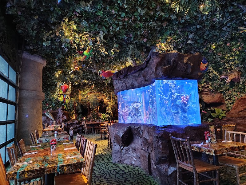 Rainforest Cafe photo 2