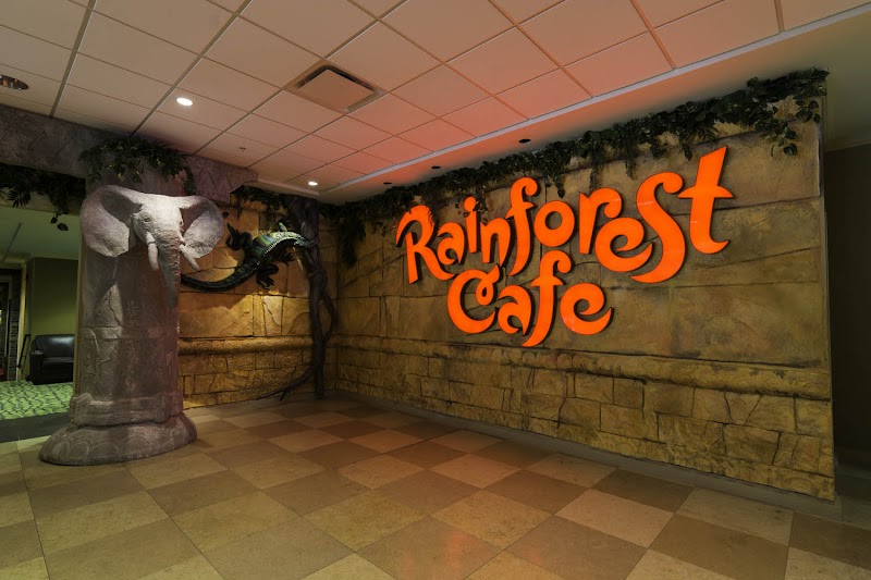 Rainforest Cafe photo 4