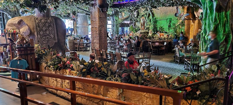 Rainforest Cafe photo 1