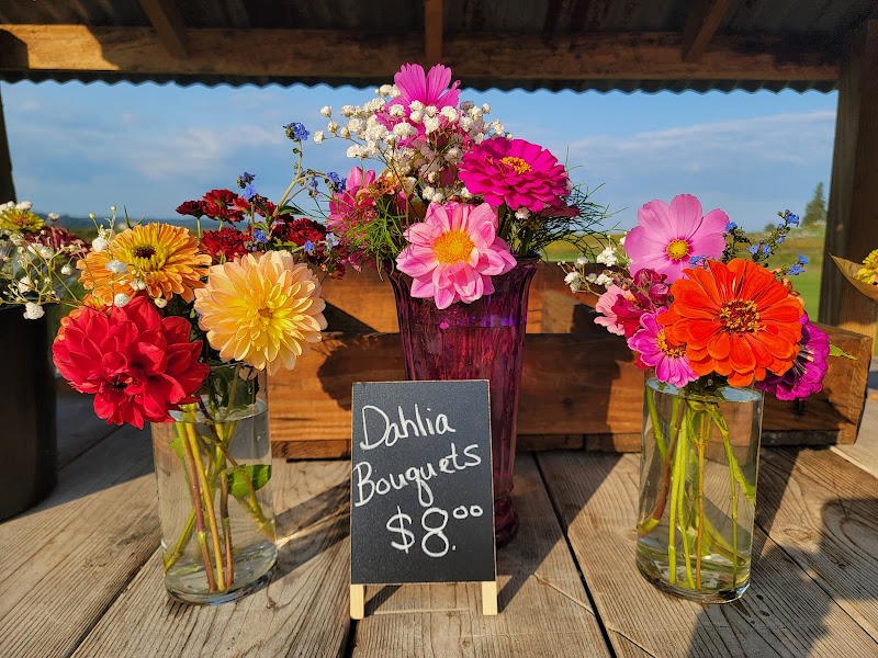 Shallow Pond Farms / Floured Grounds Coffee Shop photo 2