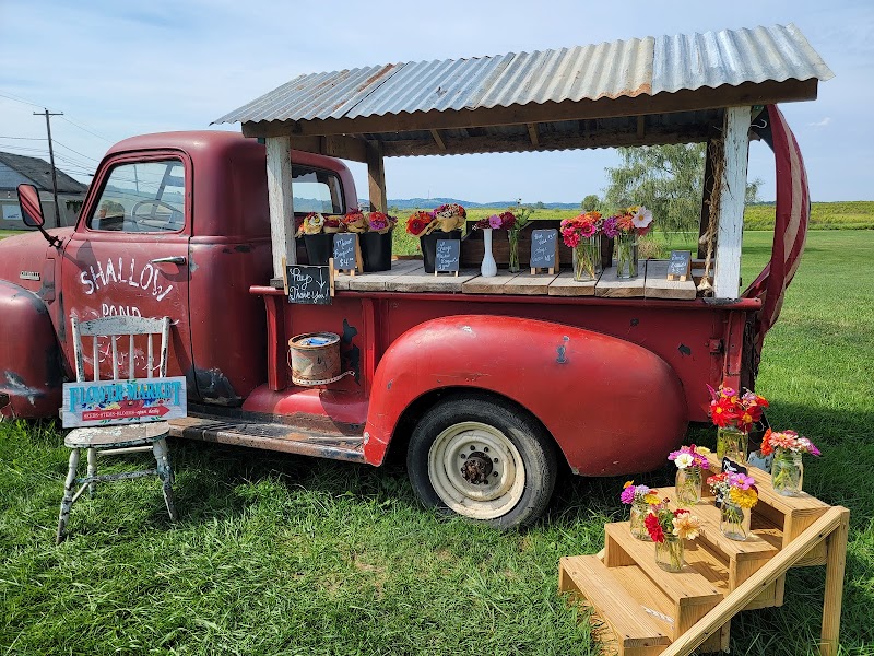 Shallow Pond Farms / Floured Grounds Coffee Shop photo 1