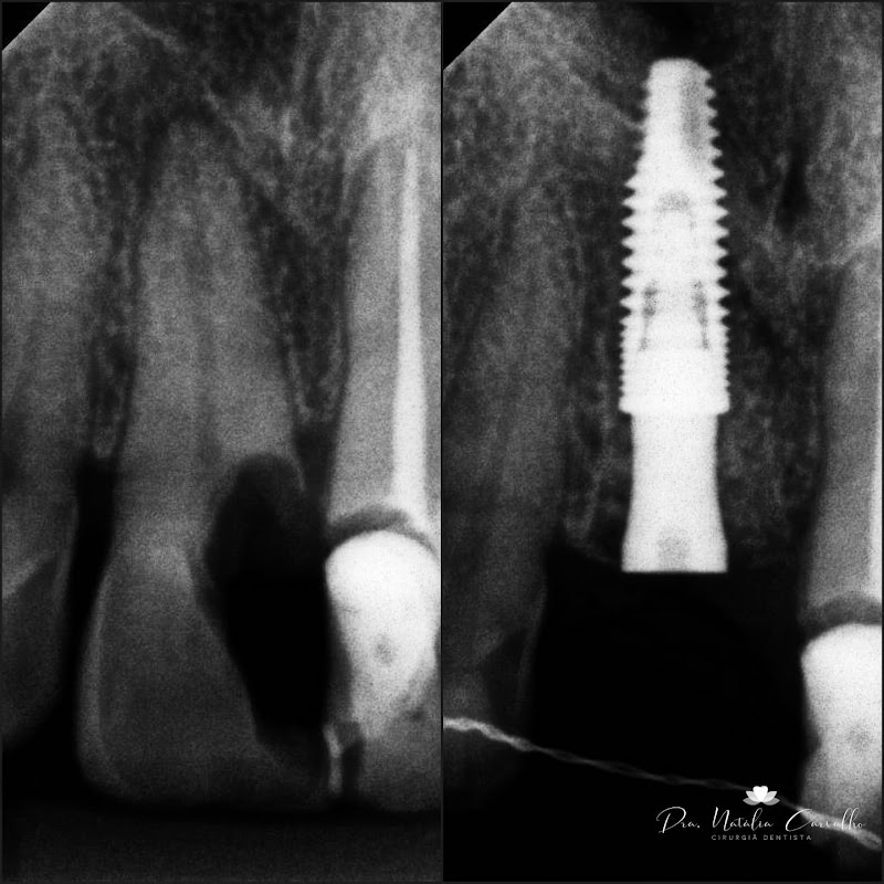 Dra. Natália Carvalho - foto 3