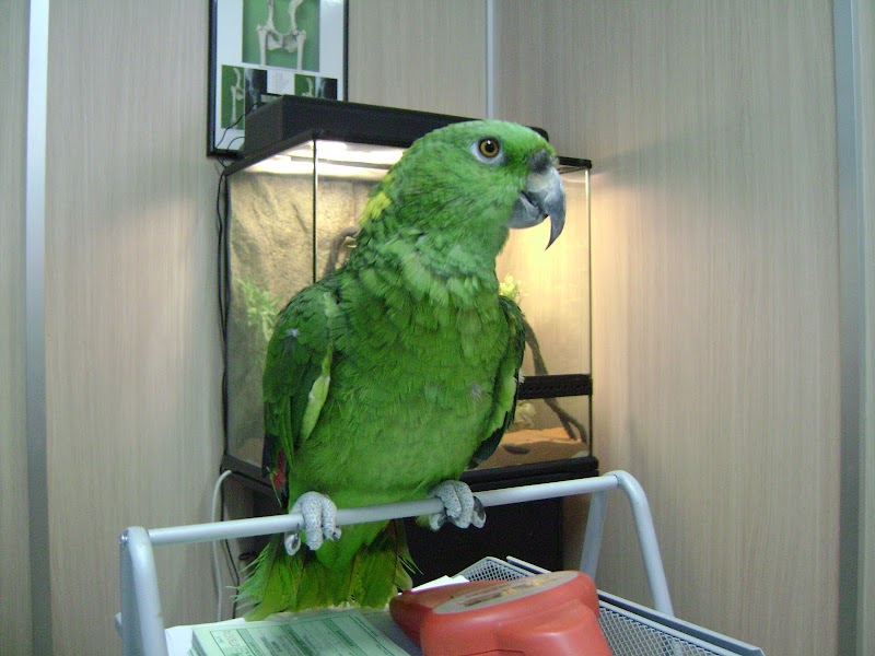 Clínica Veterinara La Algaba