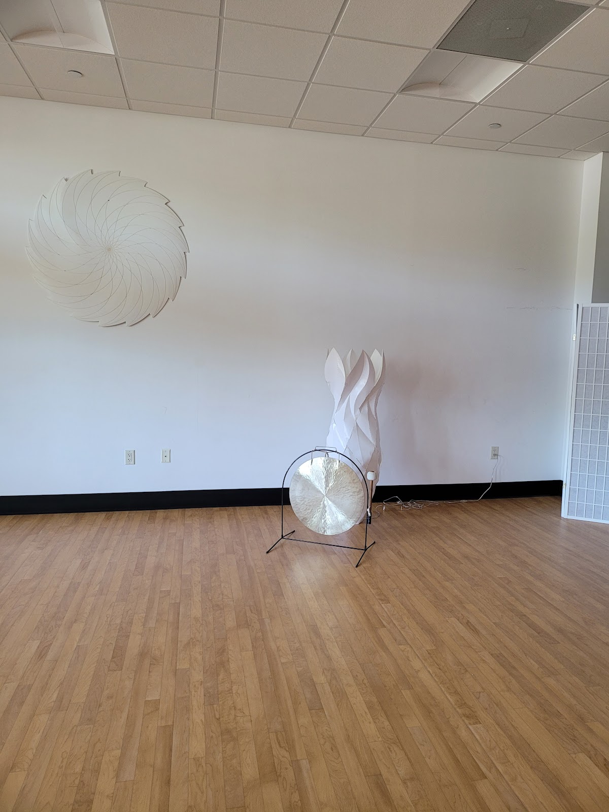 The Yoga Space — 3