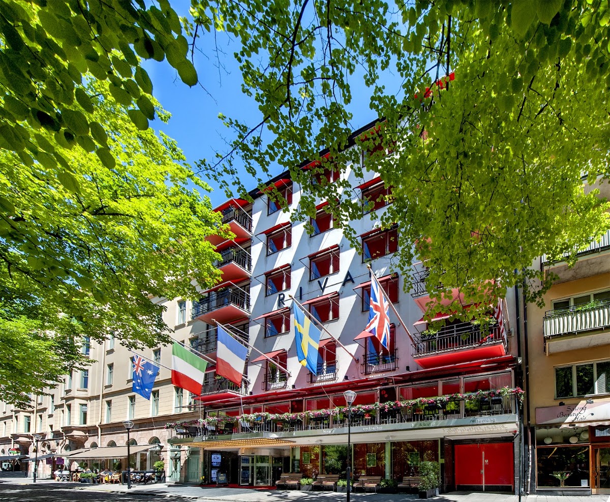 Hotel Rival, dog-friendly hotel, photo 3