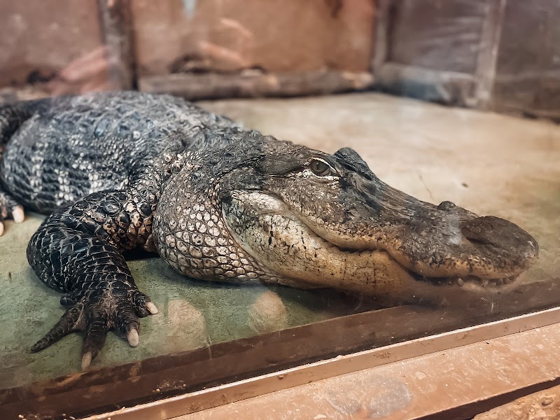 Animal Adventures Family Zoo & Rescue Center - Photo 4