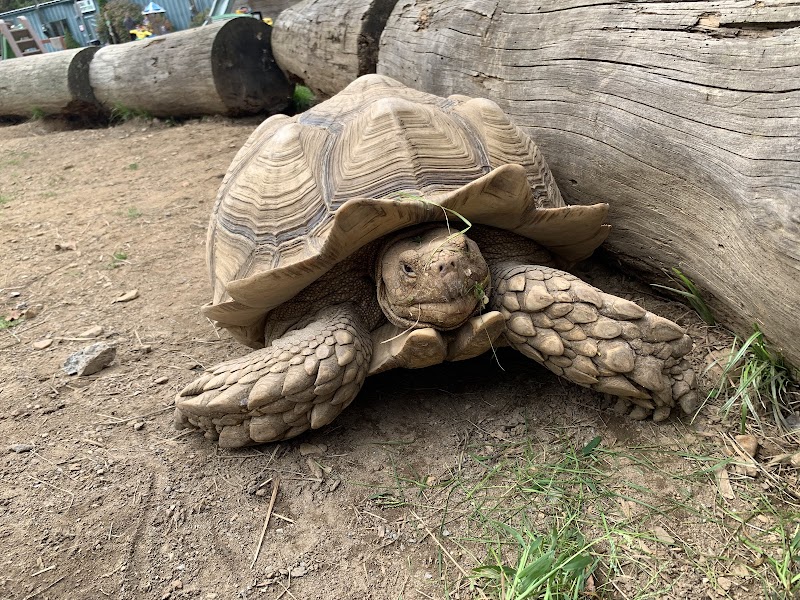 Animal Adventures Family Zoo & Rescue Center - Photo 2